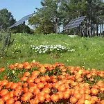 Alloggio per agriturismo Quinta Pero Vicente Odeceixe