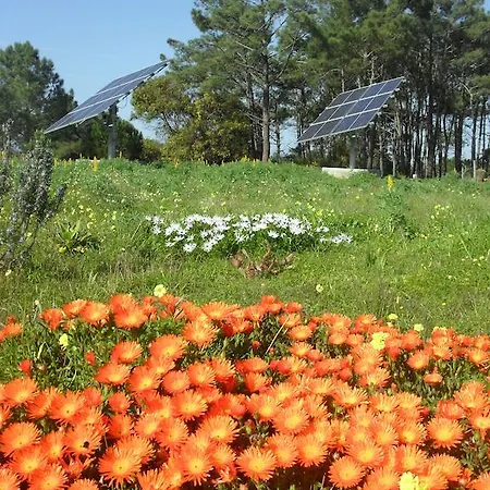 Séjour à la ferme Quinta Pero Vicente Odeceixe