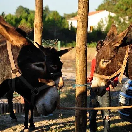 Séjour à la ferme Quinta Pero Vicente