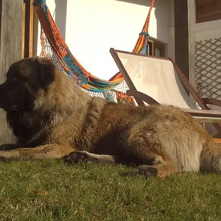 Bauernhof Quinta Pero Vicente