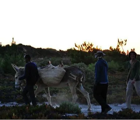 Quinta Pero Vicente Odeceixe